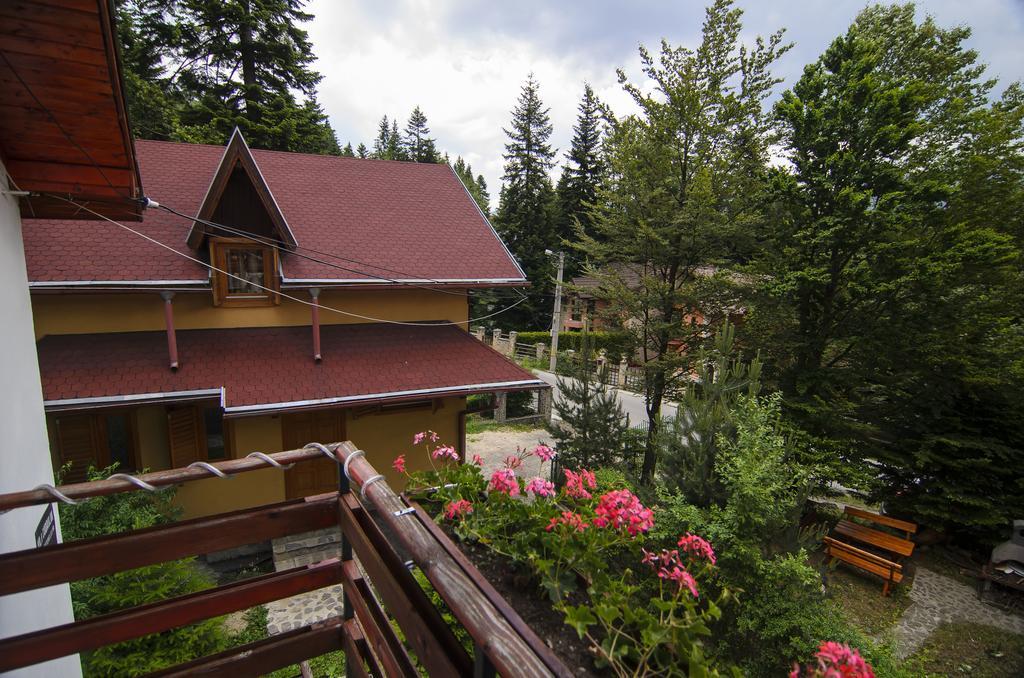 Pensiunea Codrului Sinaia Cameră foto